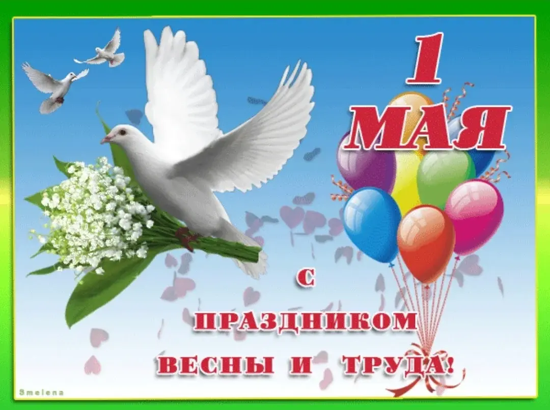 Режим работы ГБДОУ д/с № 20